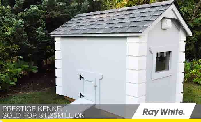 Ray White enters lucrative doggie real estate market with the sale of very first prestige poochy palace for $1.25 million