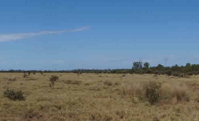 Peabody Energy lists three central Queensland cattle stations