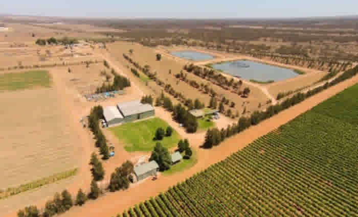 Mildura rural market stronger due to high confidence levels: HTW