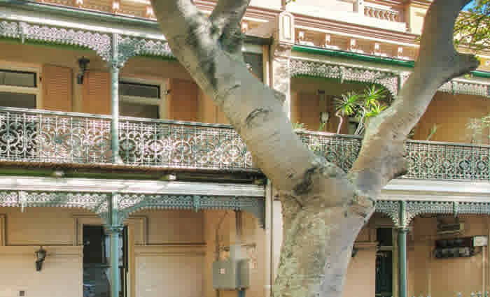 Millers Point speculator profits from initial government sell-off