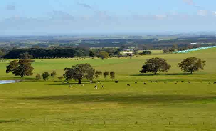 Barwon Heights farm sells for $10 million plus