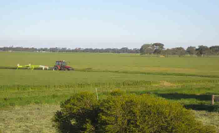 Rendell Dairies listed at Timmering in Goulburn Valley