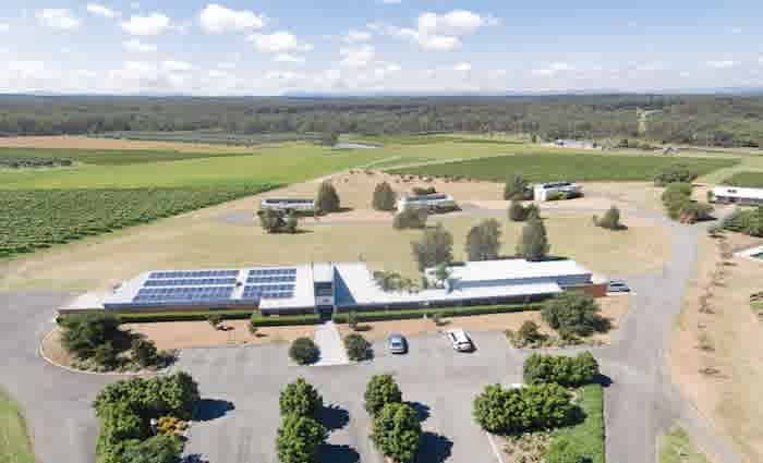 Adina Vineyard, Lovedale sold for $7 million