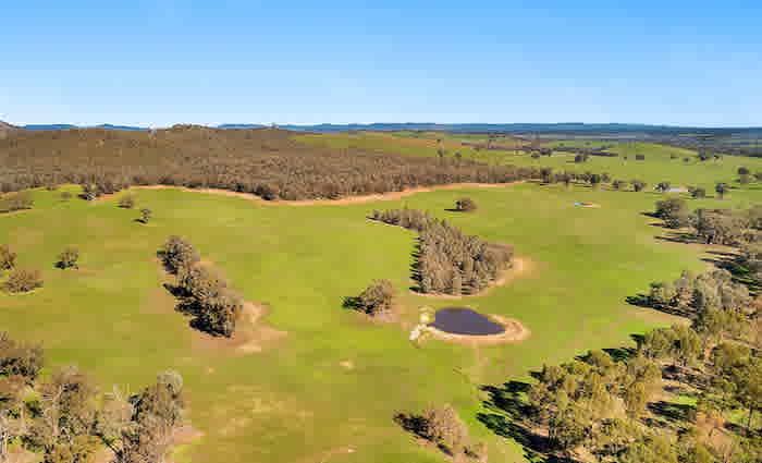 Echuca market exceeding vendor expectations: HTW