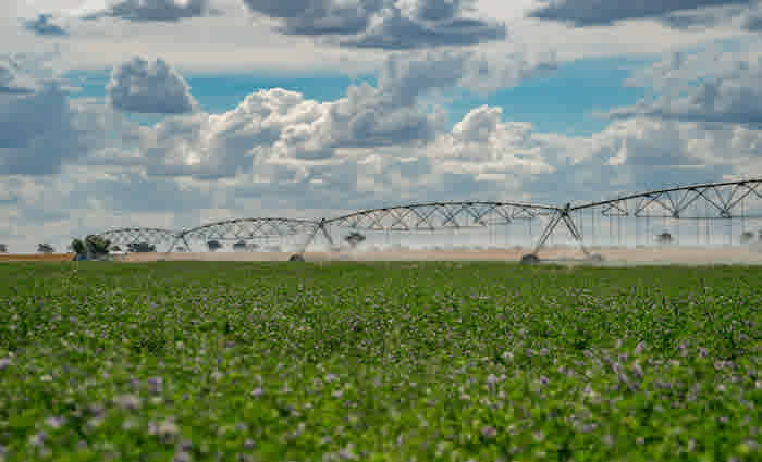 Auction of "drought-proof" Gooloogong cropping property set for March