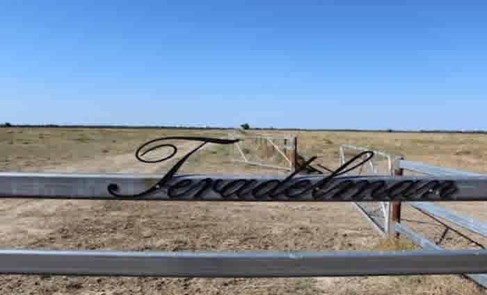 Weather patterns stalling South Queensland's rural market confidence: HTW