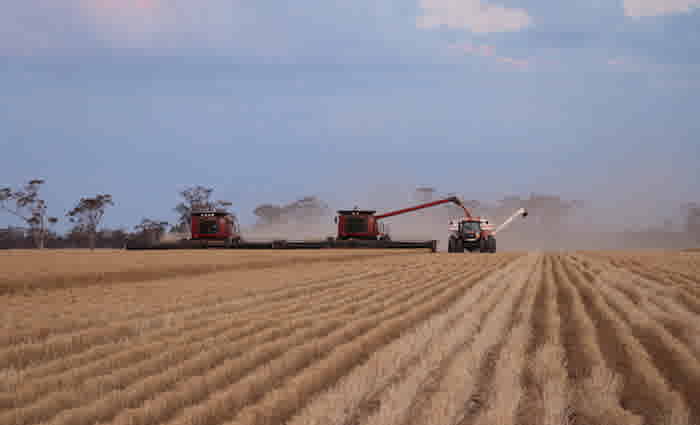 Moree cropping enterprise listed for sale