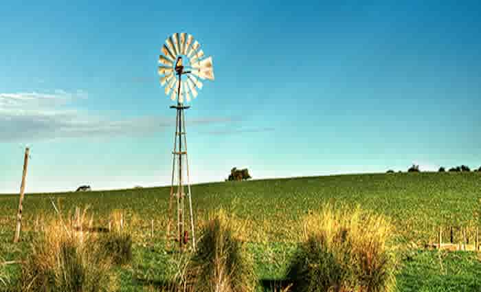 Ray White Rural scores a record $1.4 billion in sales