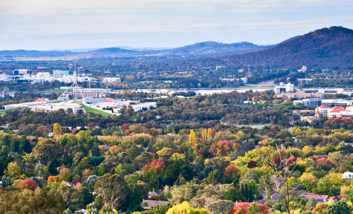 Canberra's office market sees flurry of leasing activity: HTW