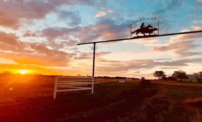 Murranji Station, Northern Territory cattle property listed