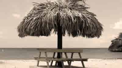 Agents look back on summers past with nostalgia for cheap beachfront property