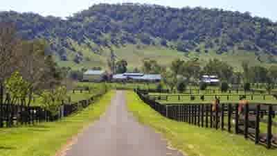 Upper Hunter Valley's Brooklyn Lodge horse stud listed with $12.5 million expectations