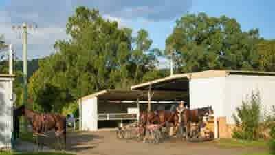 Harness racing legend Brian Hancock's Teeny Lodge listed