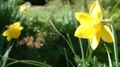 Buyers in the box seat if spring brings flood of new housing stock