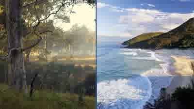 Head for the hills, not the sea, for good NSW investment prospects: Terry Ryder