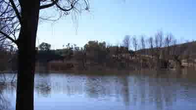 The first bloke Tim Mathieson buys $115,000 bush block on Lake Eildon to build a shack amid the serenity