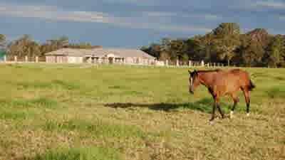 Rural haven in Nabiac