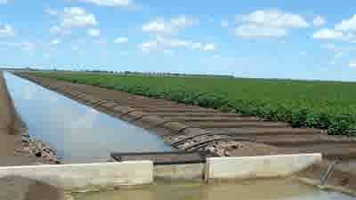 Billionaire Michael Hintze dons cotton in Wee Waa rural acquisition