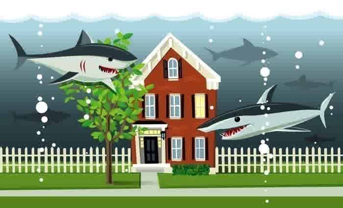 Property experts warn that spruikers out in force in hot market