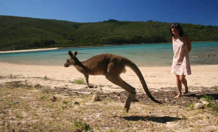 Moving from resources to tourism is a bigger leap than we think: Char-lee McLennan