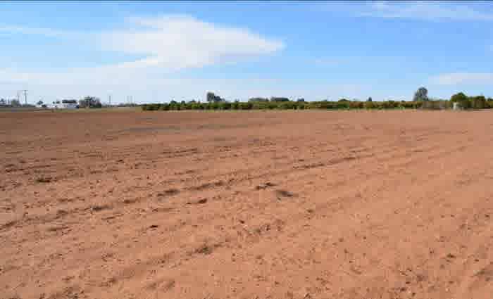 Mildura rural values holding despite lower sales volume: HTW