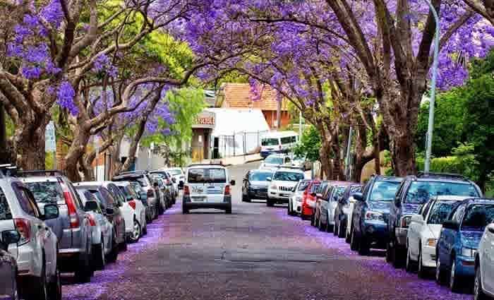 Middle Sydney 10% price growth tipped: Domain Group's Andrew Wilson