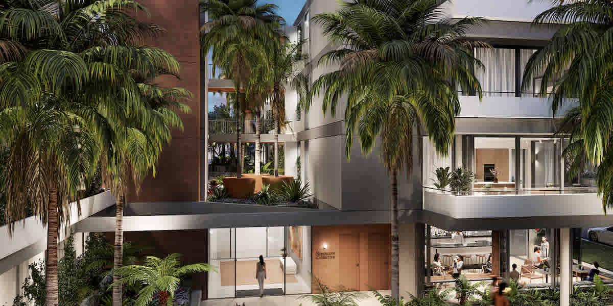 Abadeen launch Northcote Collective in Naremburn