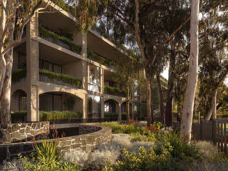 How Woods Bagot and Tract created Scotch Hill Gardens, Hawthorn's new nature-driven community