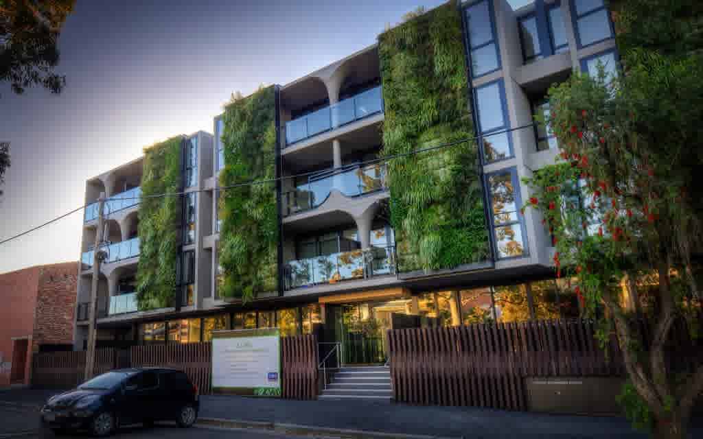 Could money one day grow on rooftop trees?