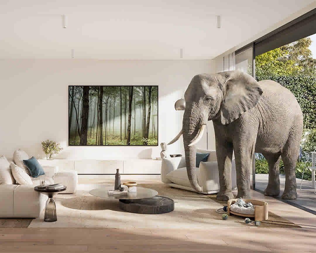 Inside Wimba Ave, Kew’s garden-scale residences designed for space and permanence