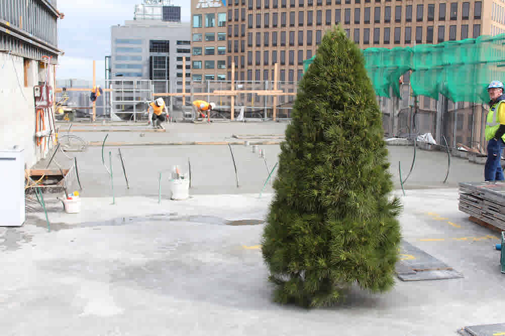 35 Spring Street marks its place in the skyline