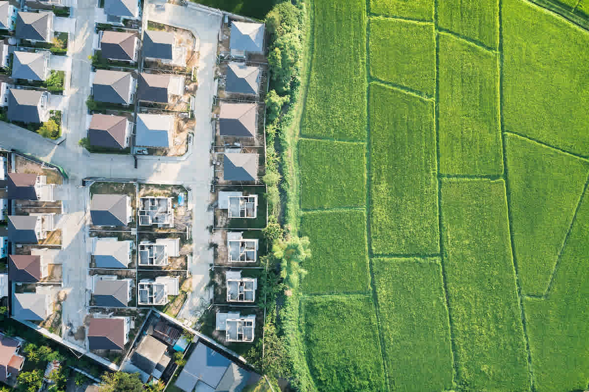 "Subdivision market strongest in 15 years": Five minutes with Tony Williams, Ray White Queensland special projects