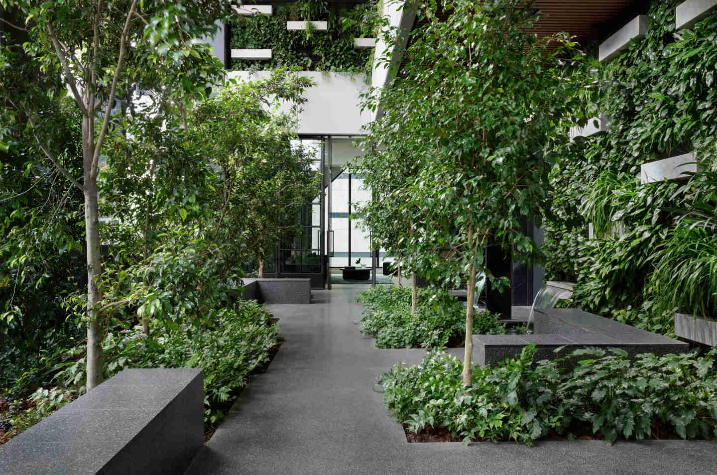 Beulah's Paragon is now complete: Take a look at landscape architect Paul Bangay's stunning urban forest within the new Melbourne tower