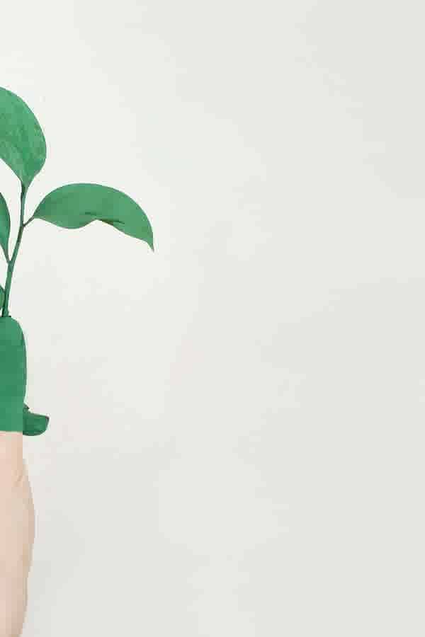 How to Create a Carbon Zero Home