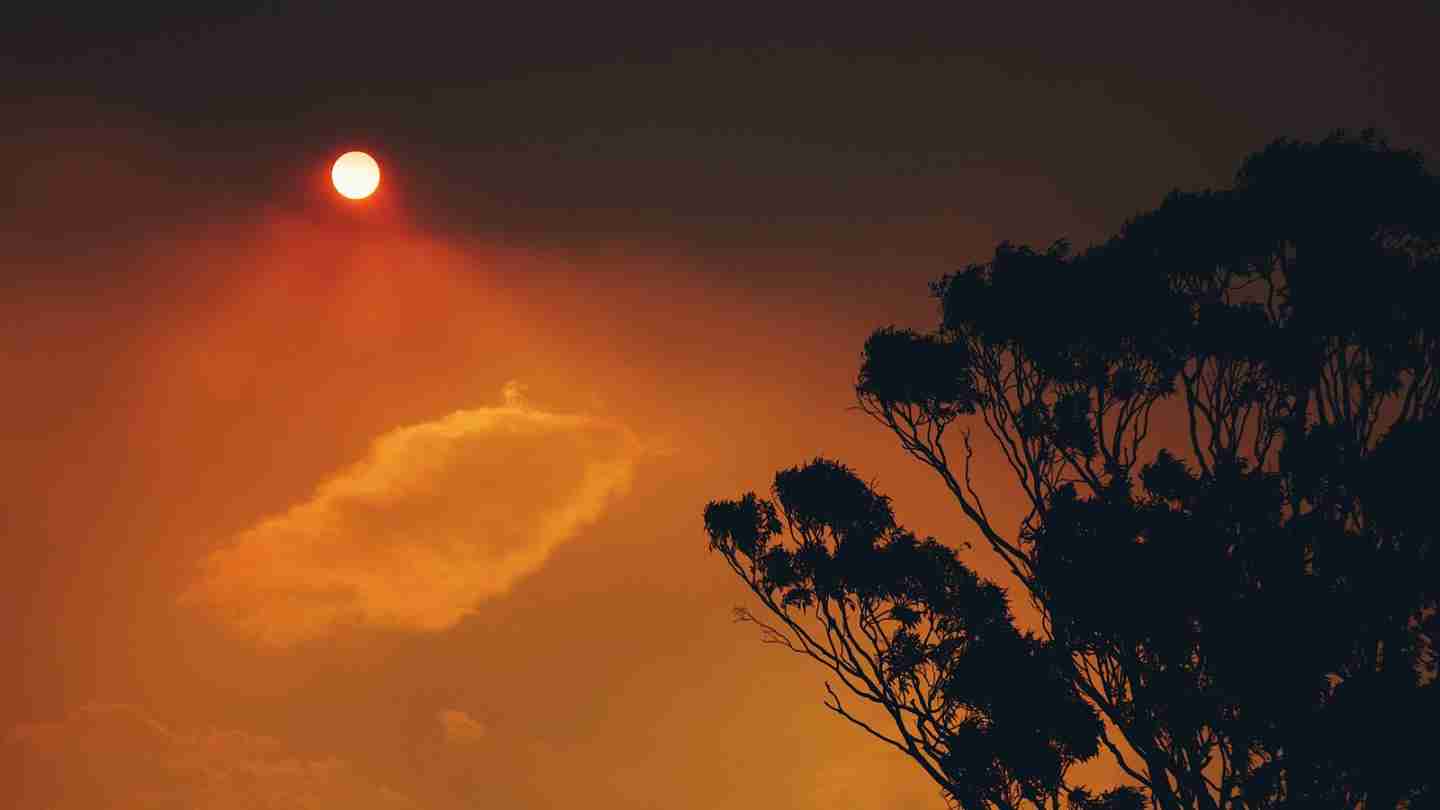 Building Stronger Bushfire-Resilient Australian Homes
