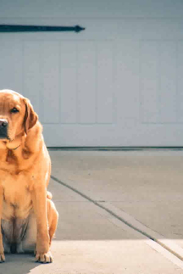 How to Choose the Right Driveway Material for Your New Home