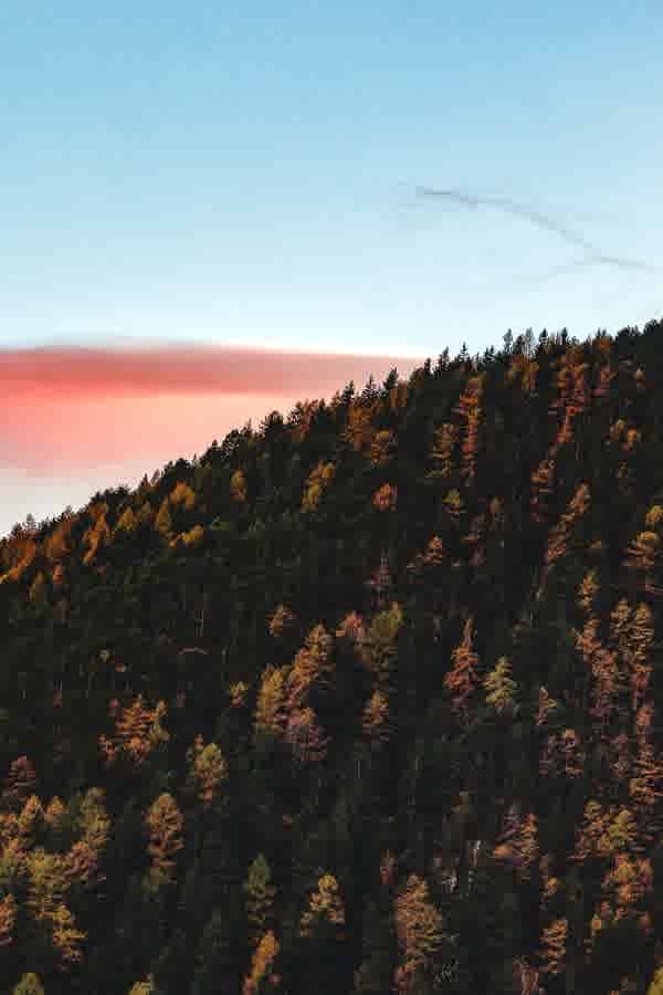 5 Things to Consider Before Buying a Sloping Block of Land
