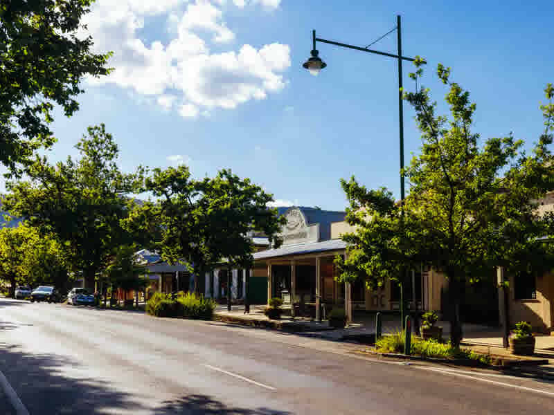 Know the Pros and Cons of Making the Tree Change