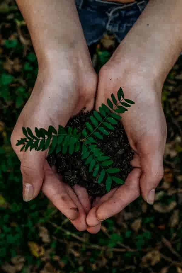 Net Zero Emissions Plan - What This Means for the Building Sector and energy efficient homes