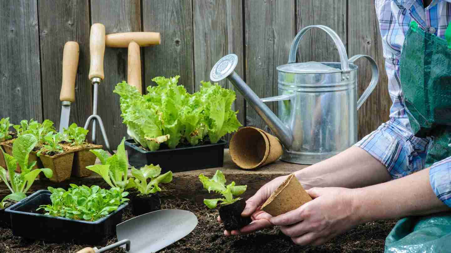 Best Methods For Preventing Rust On Your Garden Tools & Shed