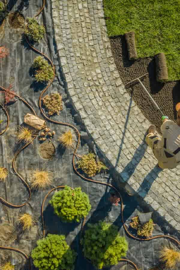 9 Landscaping Basics For A Stunning Outdoor Space