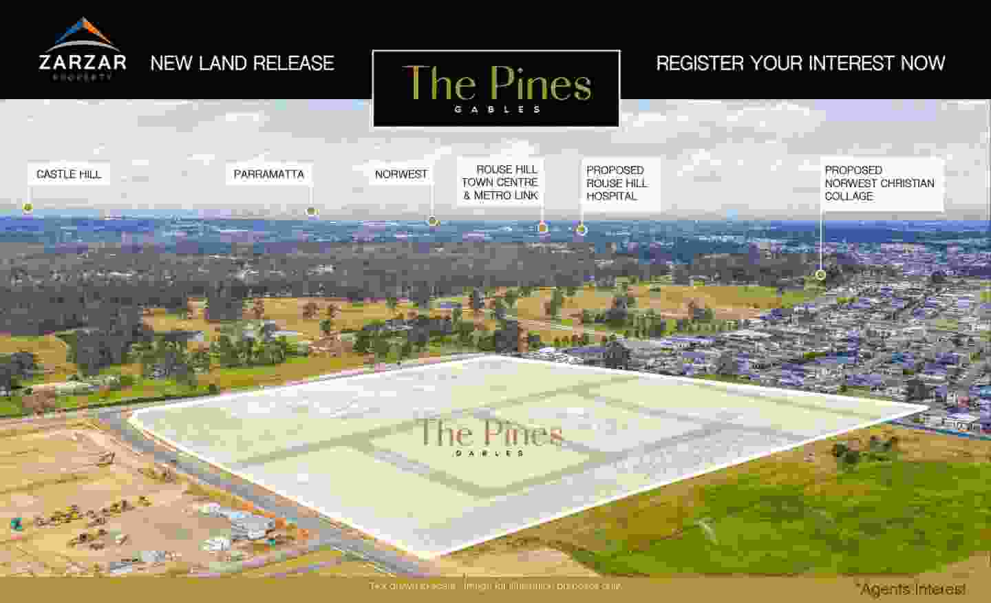 The Pines