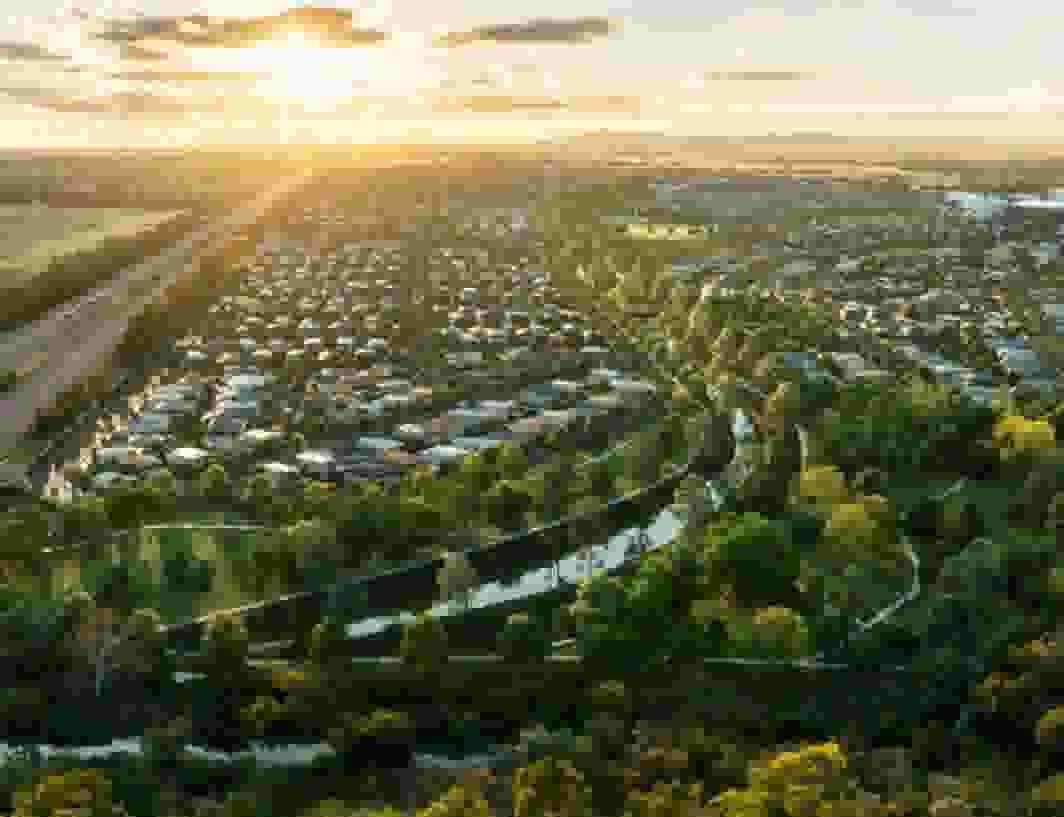 Olearia by Development Victoria