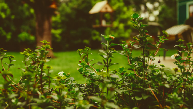 8 Brilliantly Beautiful Design Ideas for Your Urban Garden