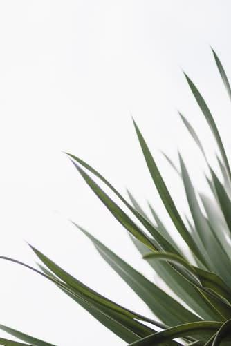 Make Your Home Eco-Friendly, Sustainable and Economical
