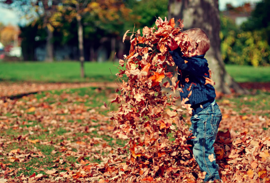 How to Prepare your Home for Winter