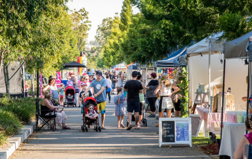 Suburb Property Profile: Springfield Lakes QLD 4300