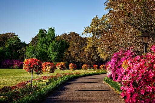 Suburb Profile: Spring Farm NSW 2570