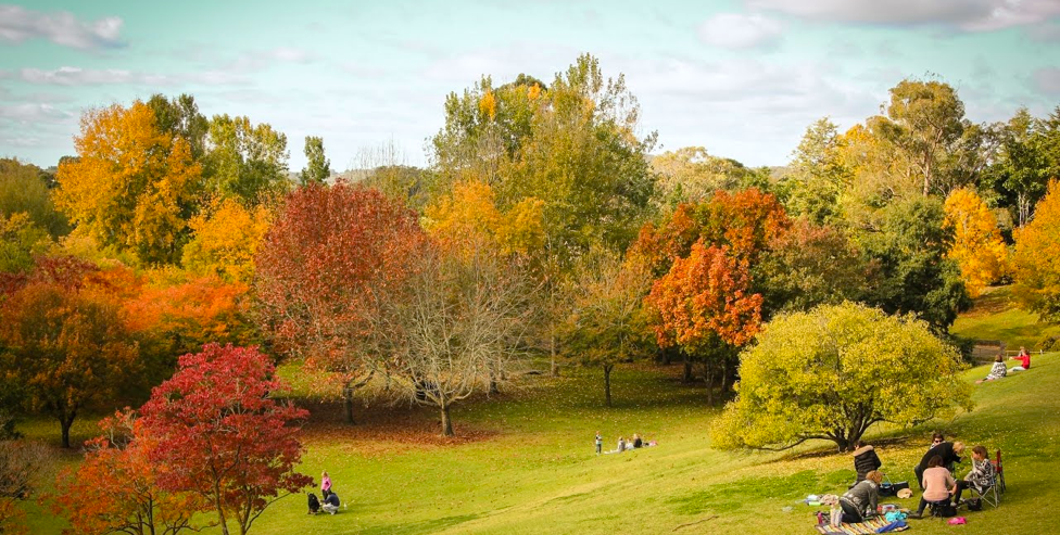 Suburb Property Profile: Findon, SA 5023