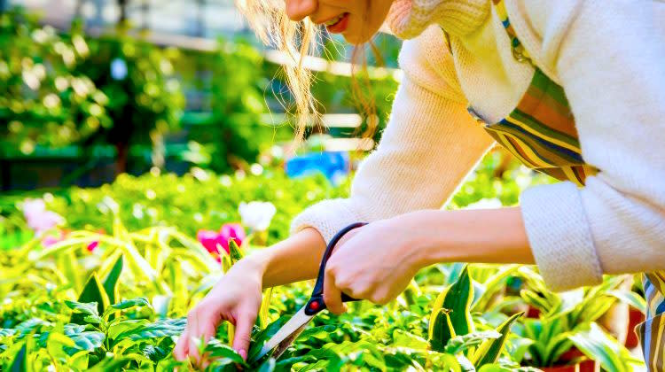 Declutter Your Garden With These Simple Tips